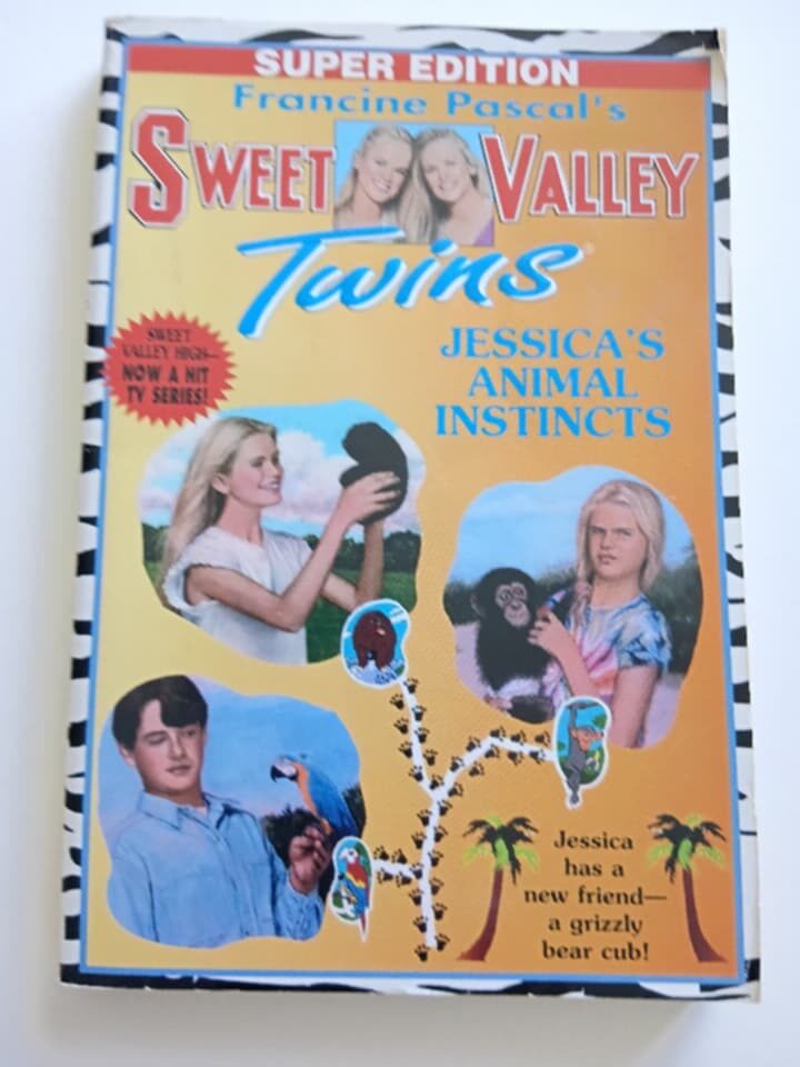 Sweet Valley Twins book