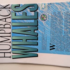 Humpback Whale New Zealand Geographic Poster (1996)